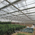 Farm steel structure greenhouse for plant